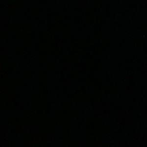 Meet your Posher, Augusta